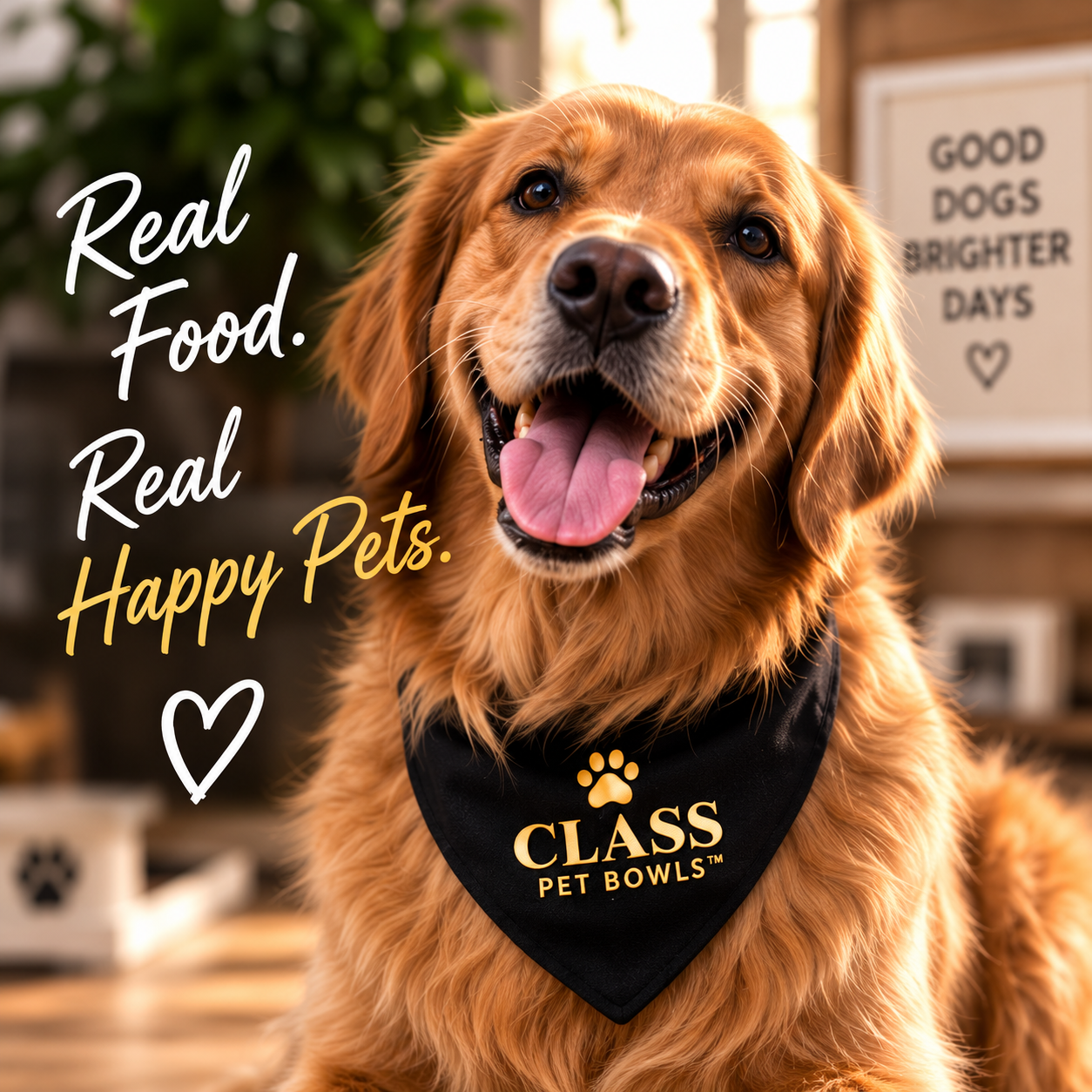 Happy golden retriever wearing a CLASS Pet Bowls bandana